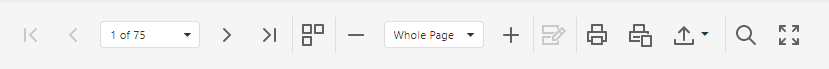 Click image to enlarge, click again to close. The preview toolbar of a custom report.